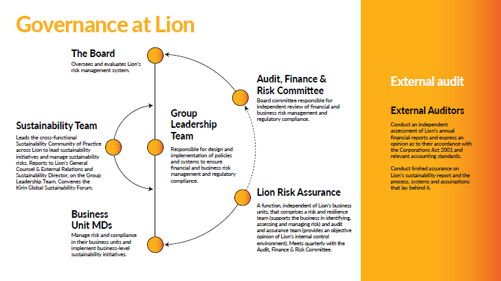 Governance At Lion v1